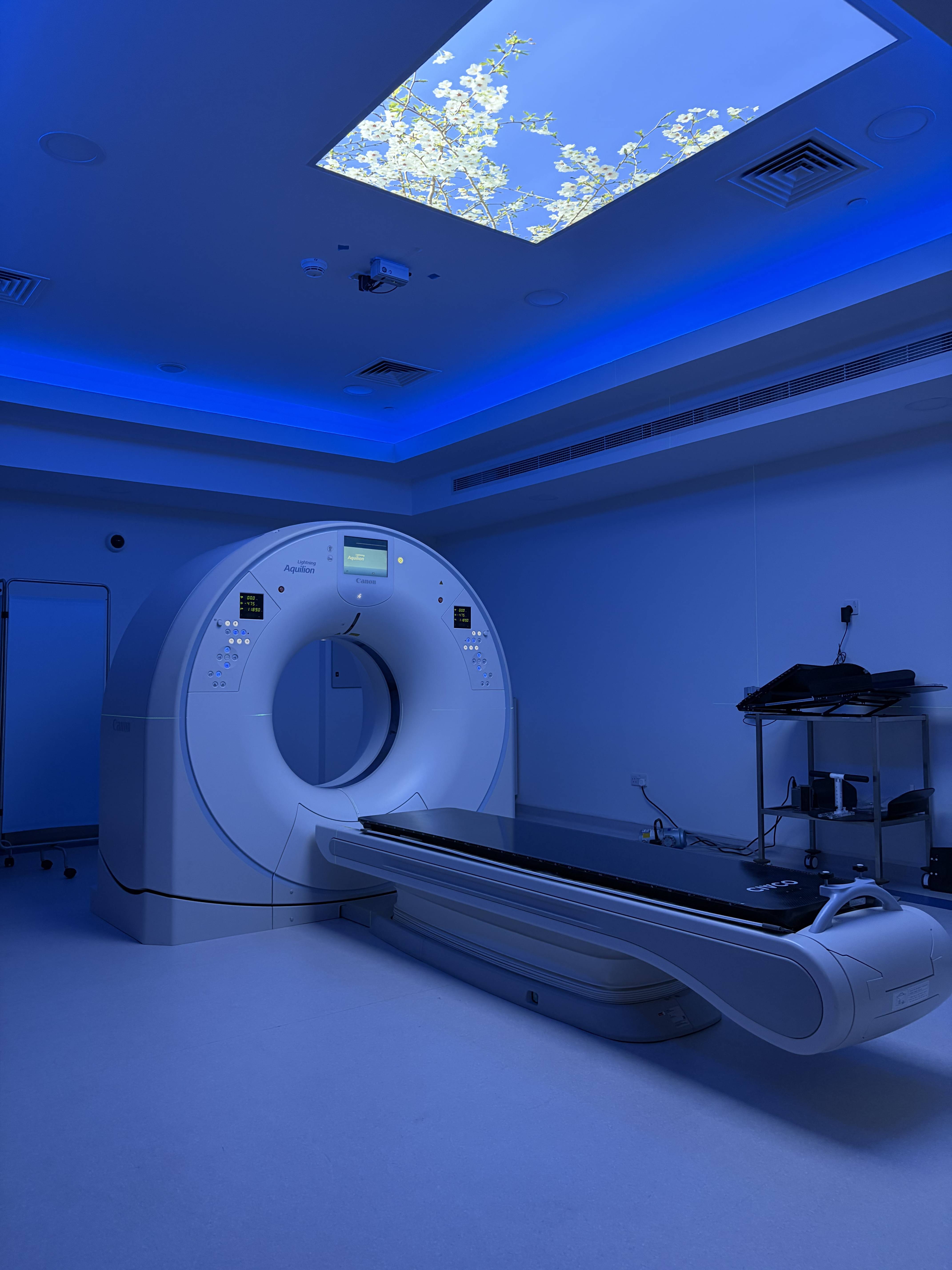 Targeted therapy and chemotherapy comparison for cancer treatment
