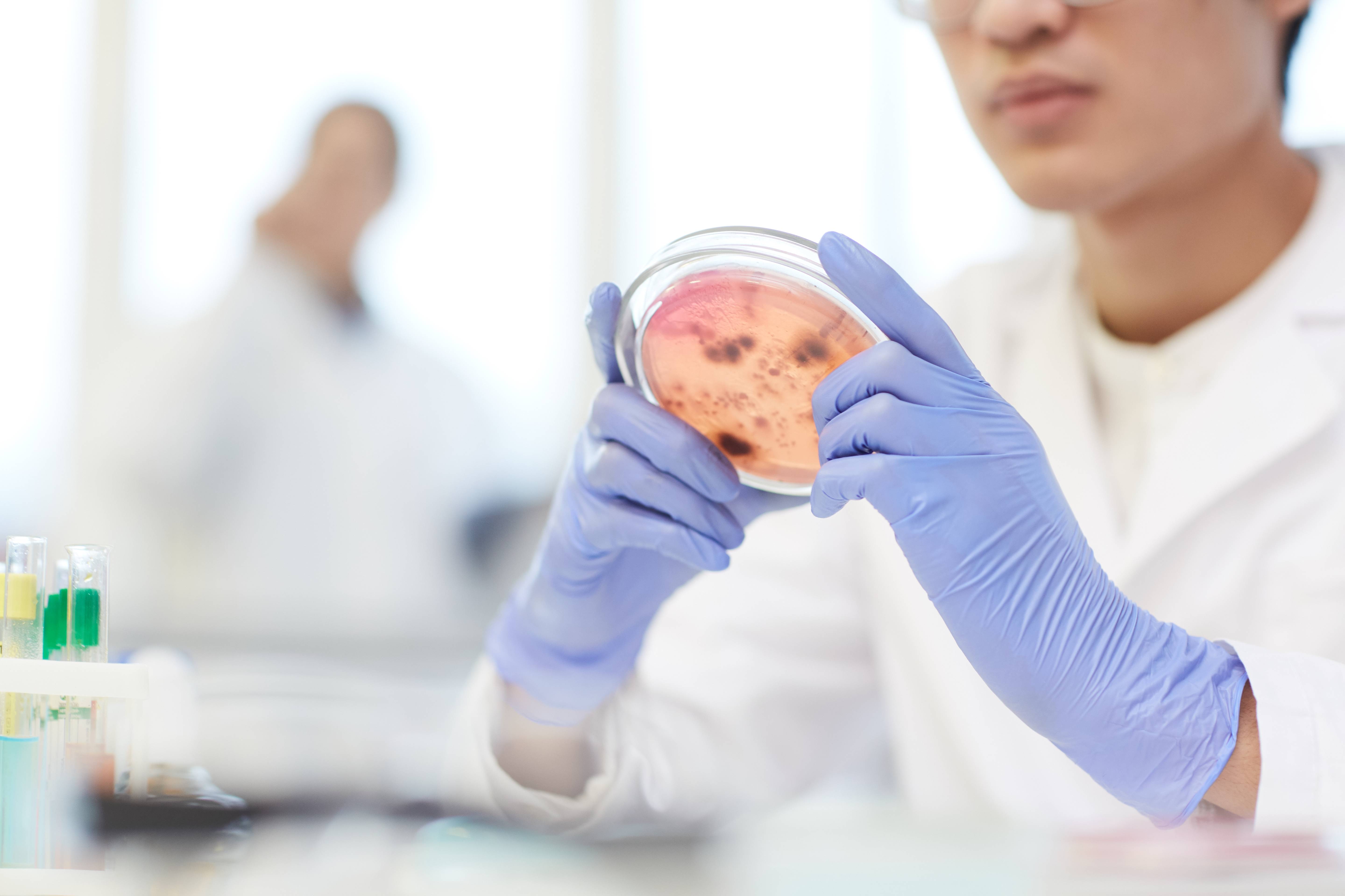 Gut microbiome role in cancer and immunity